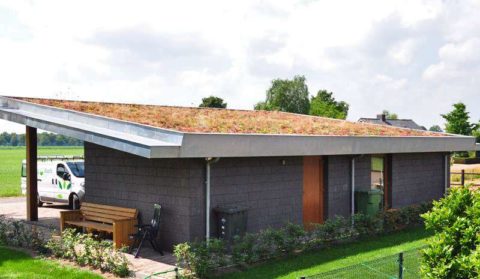 Extensief PLUS groendak bloemenheide