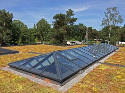 Extensief groendak Afferden