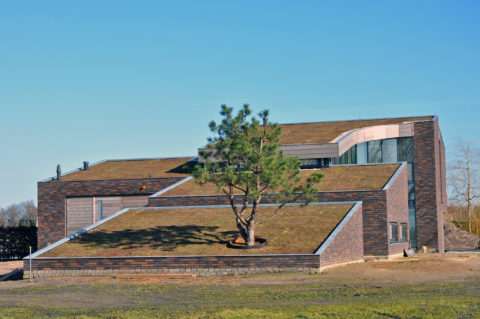Hellend groendak tot ca 25 graden in Volkel