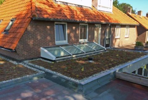 extensief PLUS groendak Liempde