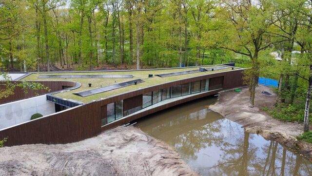 Een hele uitdaging dit dak met zijn bijzondere Y-vorm! We hebben het dak eerst voorzien van isolatie en vervolgens waterdicht gemaakt met EPDM. Het groendak heeft een waterverzadigend vermogen van 70kg/m2 en is ingezaaid met een inheems kruidenmengsel van #dakbloemenweide. Het effect van dit mengsel zal de komende maanden steeds meer zichtbaar gaan worden🌸.