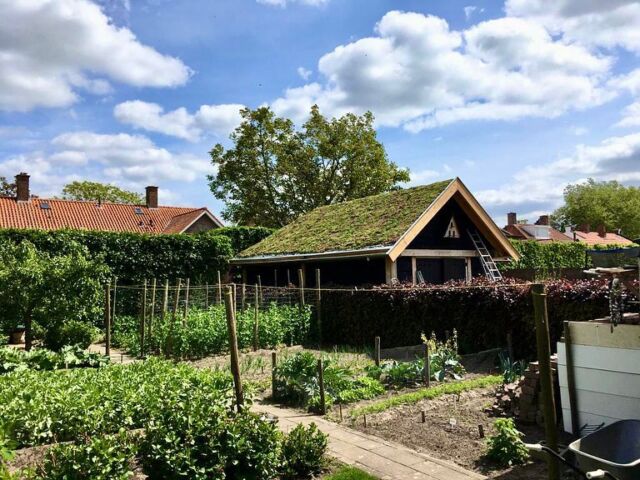 Hellend groendak van @sempergreen (40 graden) aangebracht op een EPDM dakbedekking van Carlisle CM Europe.

Particulier project in Drunen.